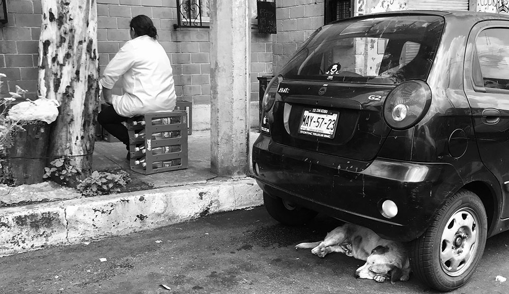 La fotografía como espejo de la sociedad