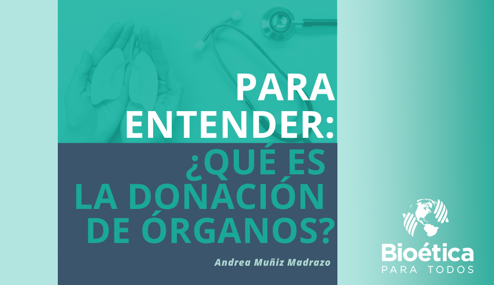 We invite you to learn about the new manuals ''to understand'' presented by the Priority Project ''Bioethics for All'' 