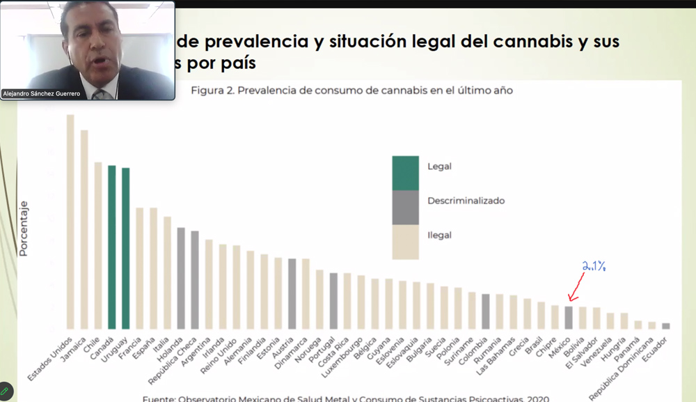 Informe