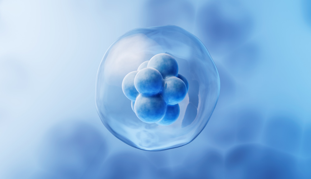 Embryos´ Rights in Alabama