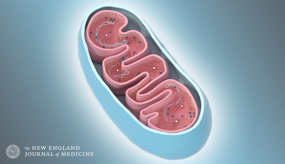 The New England Journal of Medicine