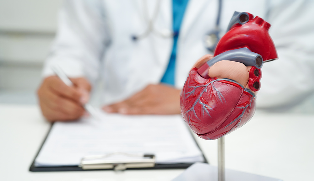El papel de los cuidados paliativos en cardiología