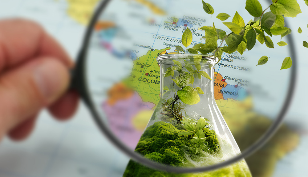 Hacia una bioética multilateral en América Latina y el Caribe