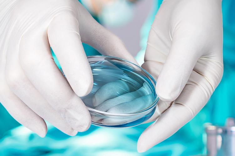 El derecho a la identidad en el contexto bioético, desafíos contemporáneos en la reproducción asistida y la filiación