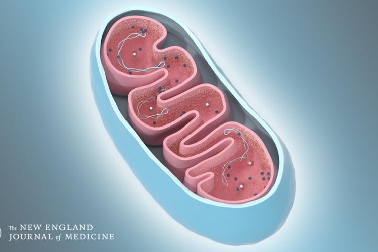 The New England Journal of Medicine