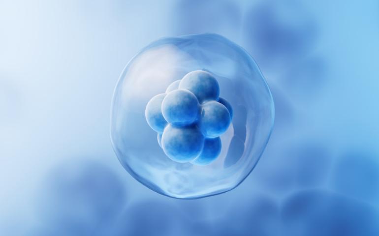 Embryos´ Rights in Alabama