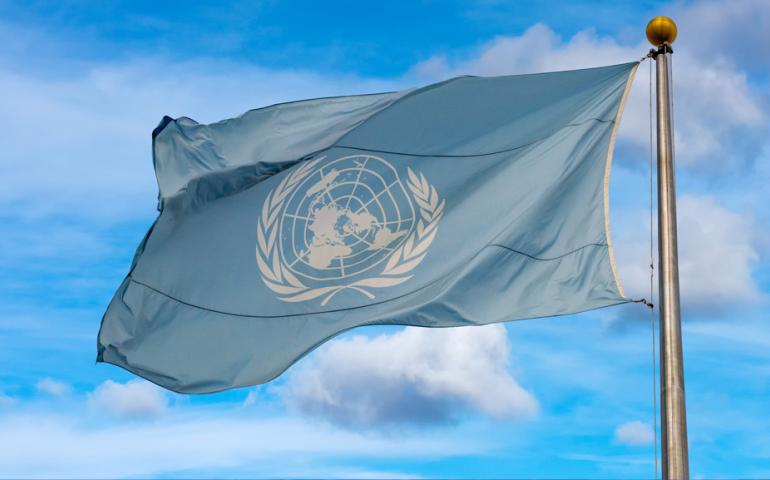 Transplants and the 77th World Health Assembly