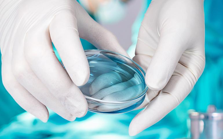 The Right to Identity in the Bioethical Context, Contemporary Challenges in Assisted Reproduction and Filial Relationship