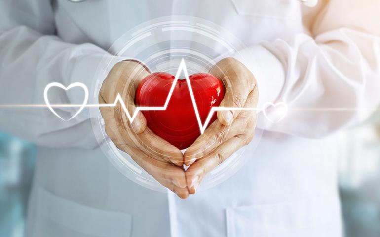 Meaning in the health sciences as a horizon for a truly human practice