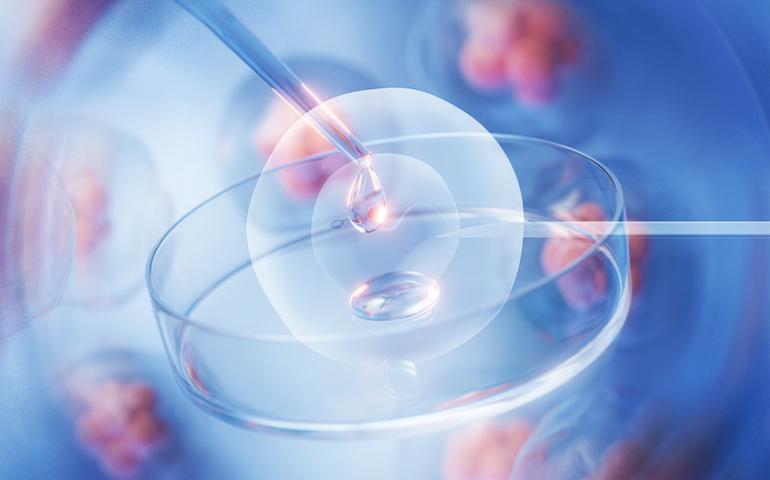 Success in Assisted Reproduction