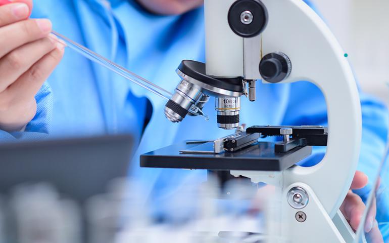 Life Under the Microscope in the Face of the Challenge of Diseased Sperm