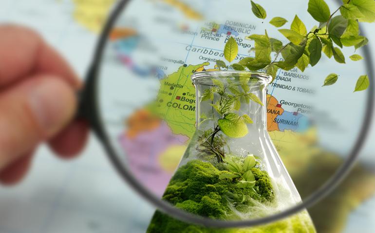 Hacia una bioética multilateral en América Latina y el Caribe