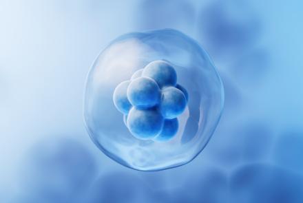 Embriones con derechos en Alabama