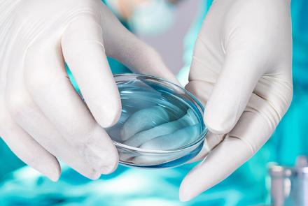 El derecho a la identidad en el contexto bioético, desafíos contemporáneos en la reproducción asistida y la filiación