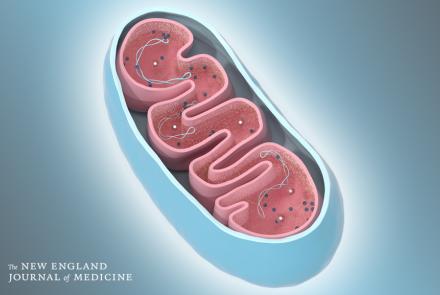 The New England Journal of Medicine