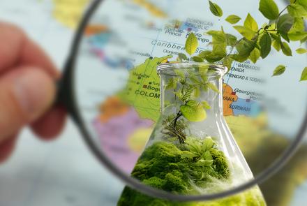 Hacia una bioética multilateral en América Latina y el Caribe