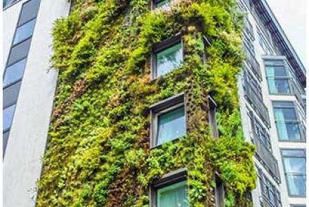 Curso "Arquitectura Bioclimática"