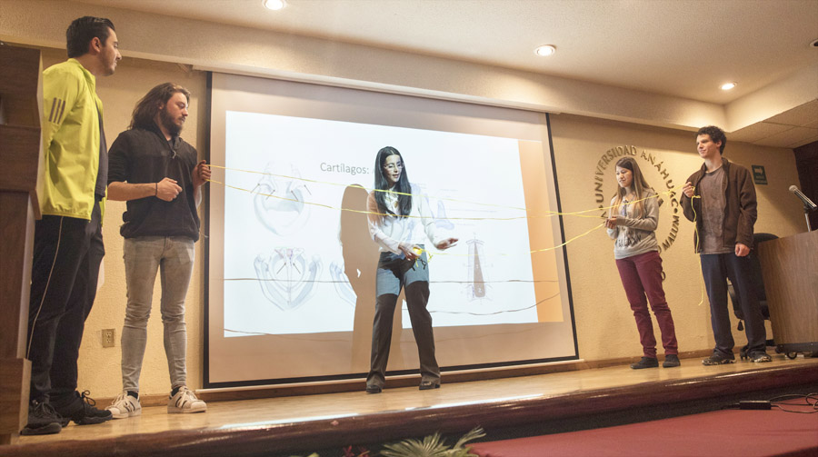Alumnos participando