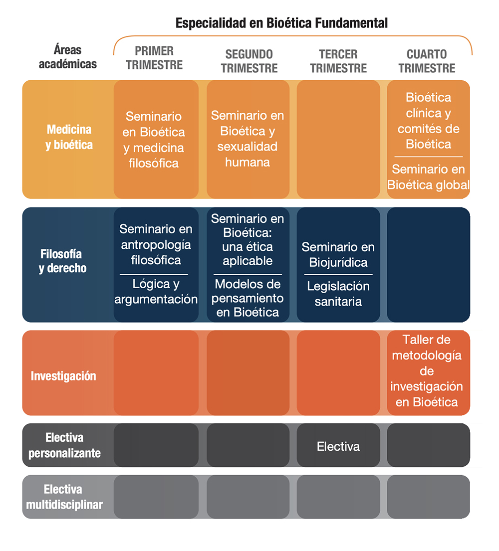 Plan de estudios