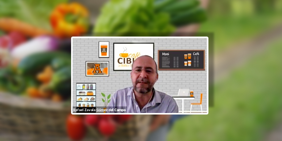 Representante de la FAO en Brasil participa en el Café CIBIGA de Bioética