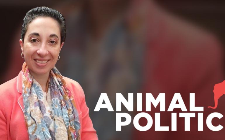 La Dra. de los Rios publica artículo en el periódico digital Animal Político