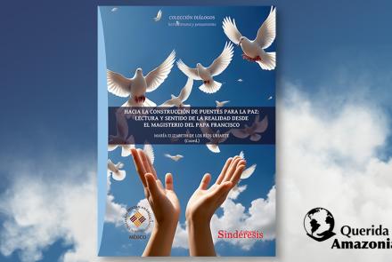 El grupo de "Querida Amazonía" publica libro sobre el magisterio del Papa Francisco