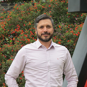 Rojas