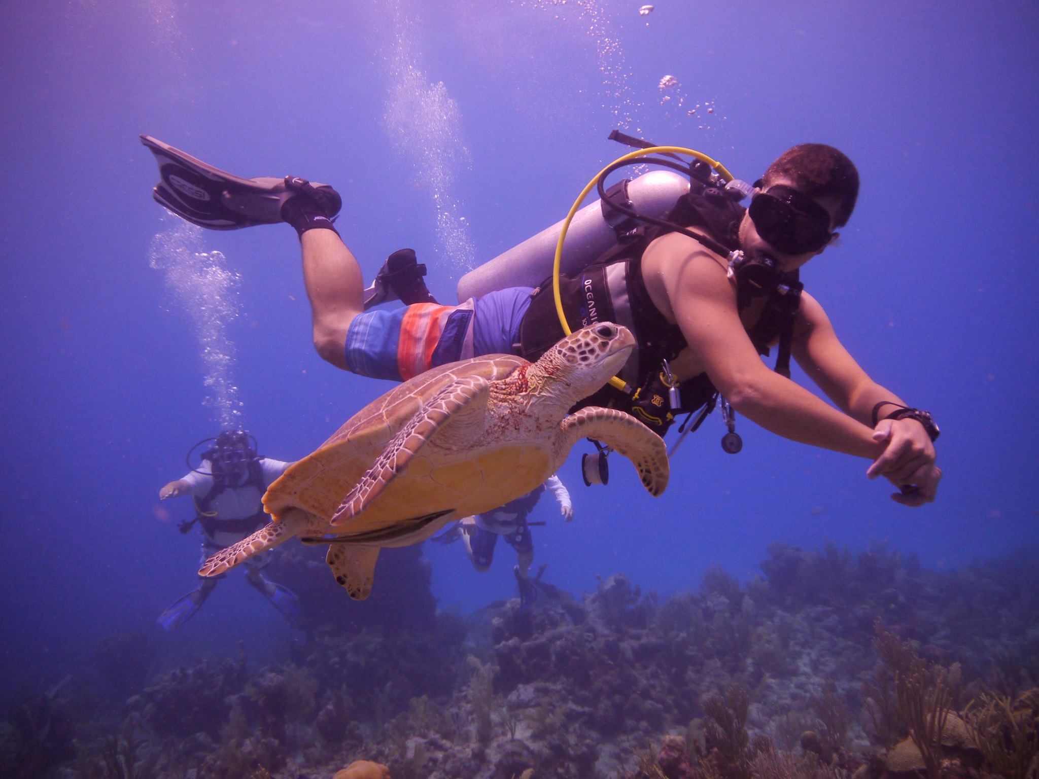 Juan Carlos Rodríguez, un comunicador que encontró su pasión en el buceo