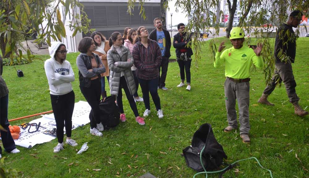 Alumnos de Diseño realizan práctica de poda contra el muérdago