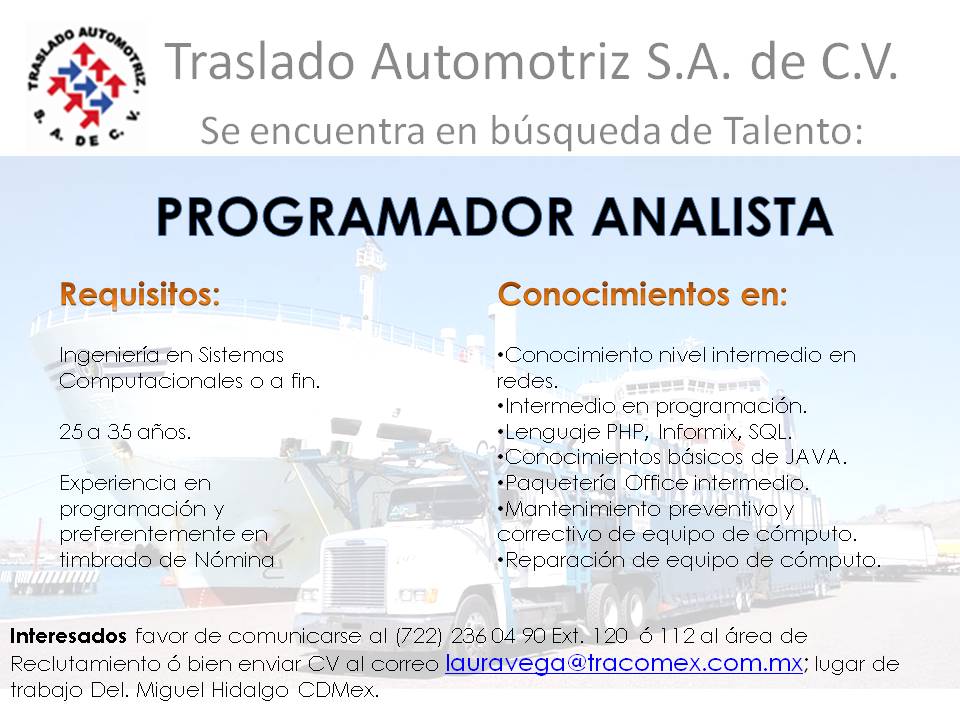 programador analista