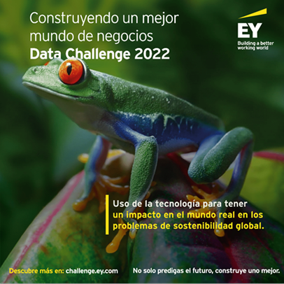 Data Challenge 2022 EY
