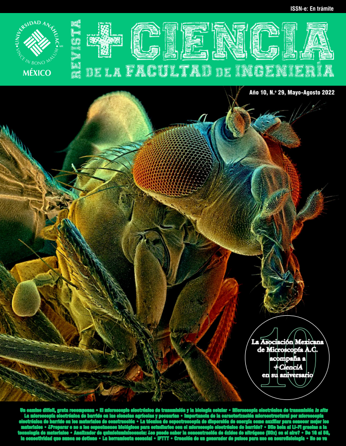 No.29 revista +Ciencia