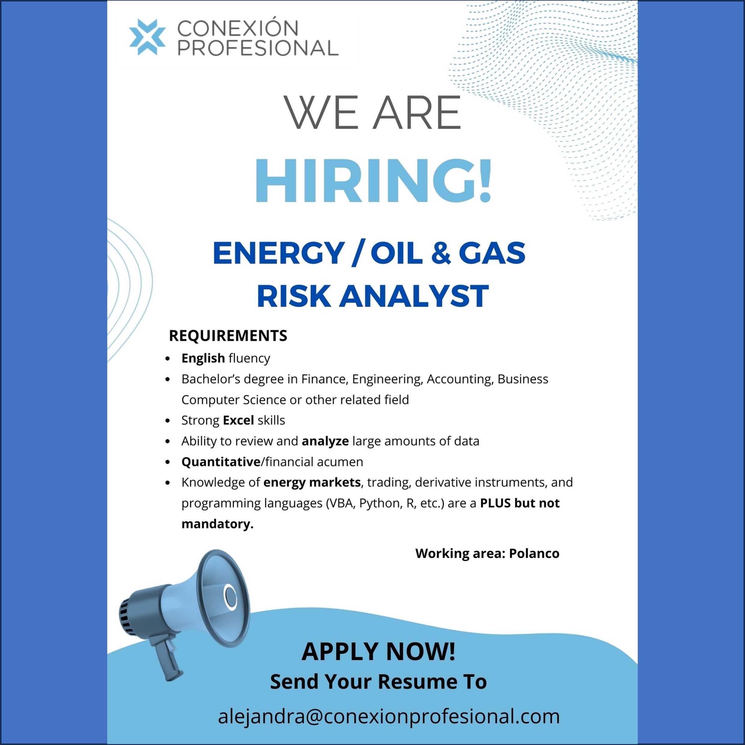 VACANTE - Energy/Oil & Gas Risk Analyst