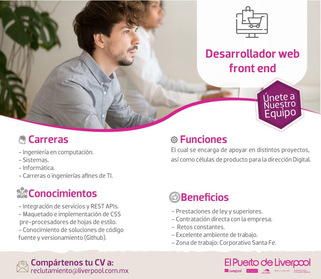 desarrollo web