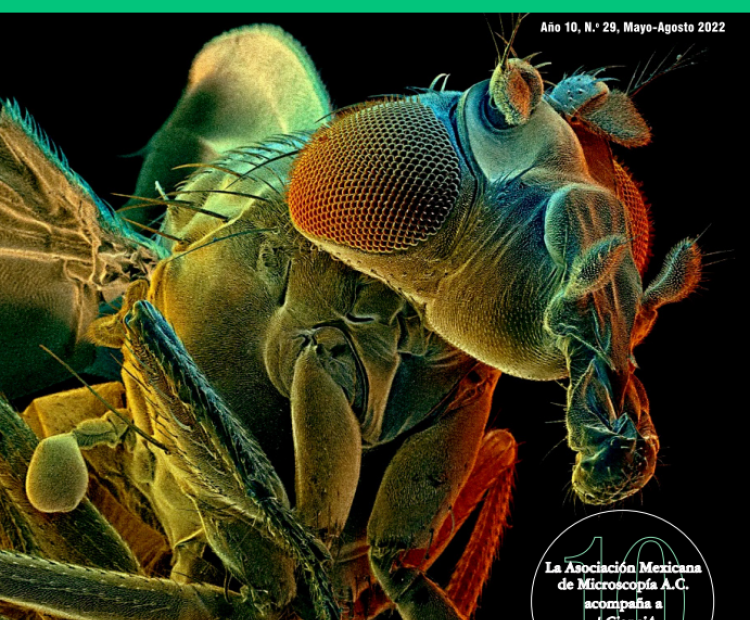 No. 29 Revista +CienciA