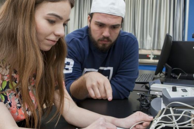 Ingeniería en Sistemas y Tecnologías de Información