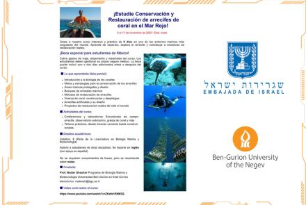 Convocatoria: Becas completas para curso en Israel sobre conservación y restauración de arrecifes de coral