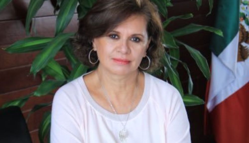 En colaboración con CICAD/OEA, 17 miembros del equipo de CIJ obtuvieron la Certificación Internacional de Profesionales en Adicciones a través del curso de actualización en el Currículo Universal de Tratamiento, proporcionando conocimientos para abordar los trastornos por uso de sustancias.