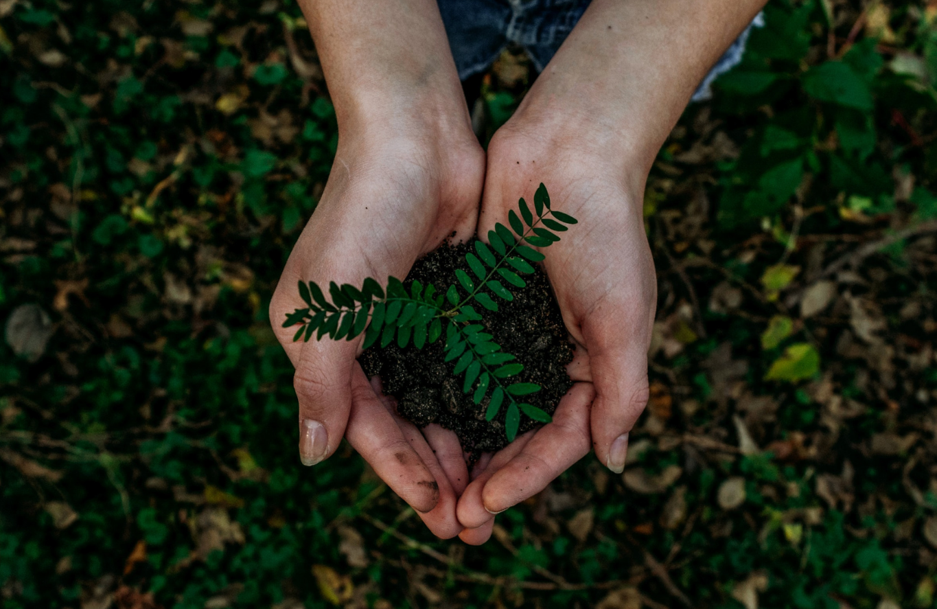 Alumnos de Responsabilidad Social aprenden sobre la conservación del medioambiente y el desarrollo social en Temoaya, Estado de México