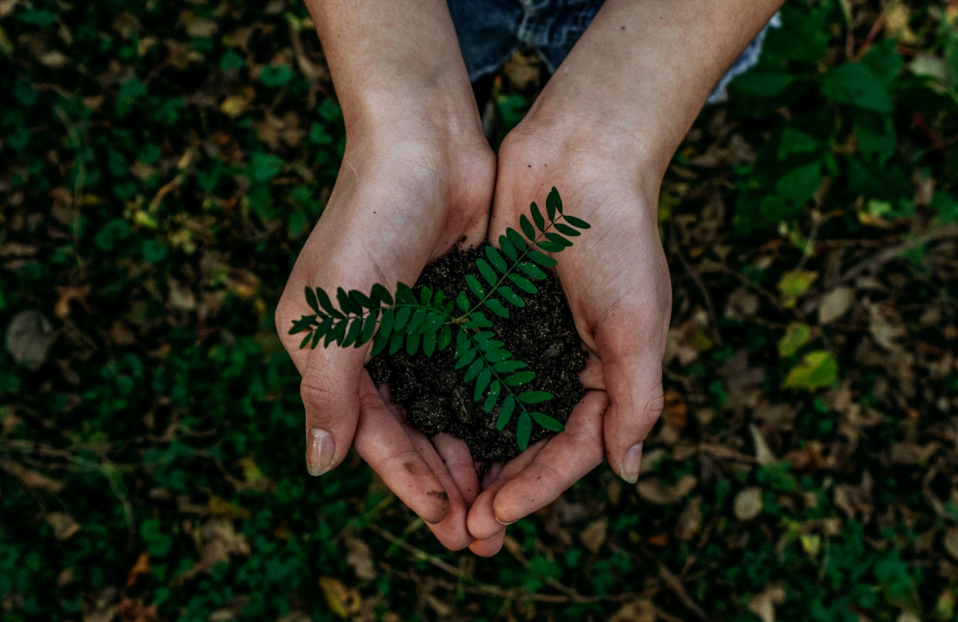 Alumnos de Responsabilidad Social aprenden sobre la conservación del medioambiente y el desarrollo social en Temoaya, Estado de México 