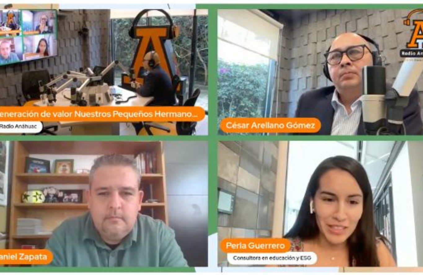 Pequeños Hermanos México