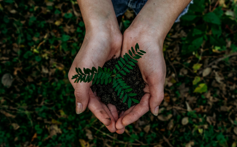 Alumnos de Responsabilidad Social aprenden sobre la conservación del medioambiente y el desarrollo social en Temoaya, Estado de México