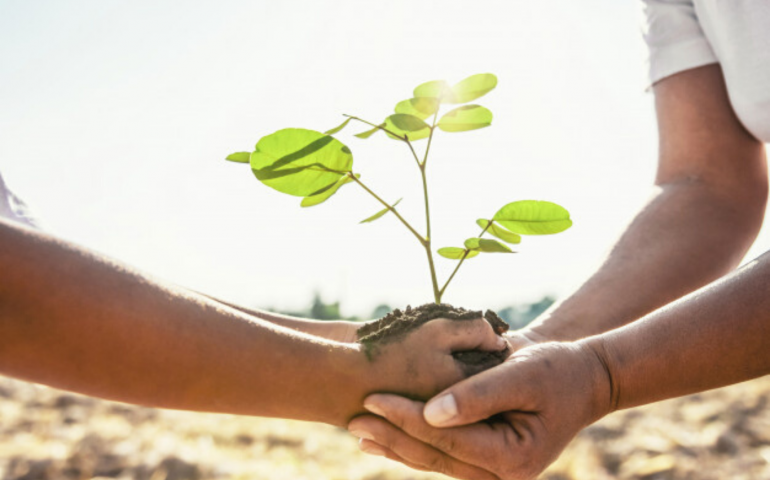 Organización civil y academia entregan reconocimiento a empresas por su compromiso con bosques mexicanos.