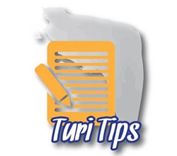 Turi Tips