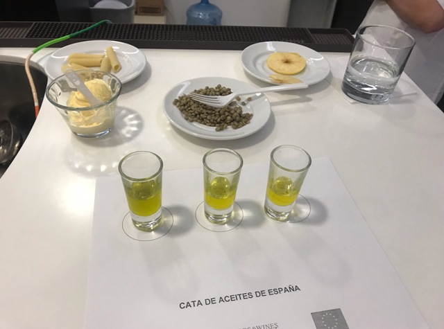 cata aceites oliva 3