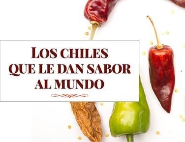 Libro-chiles 1