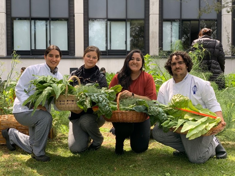 Huerto Anáhuac