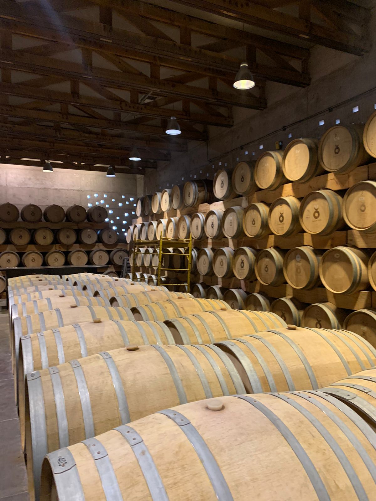 Viñedos Cuna de Tierra