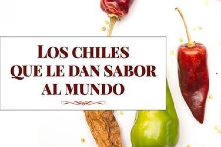 Libro-chiles 1