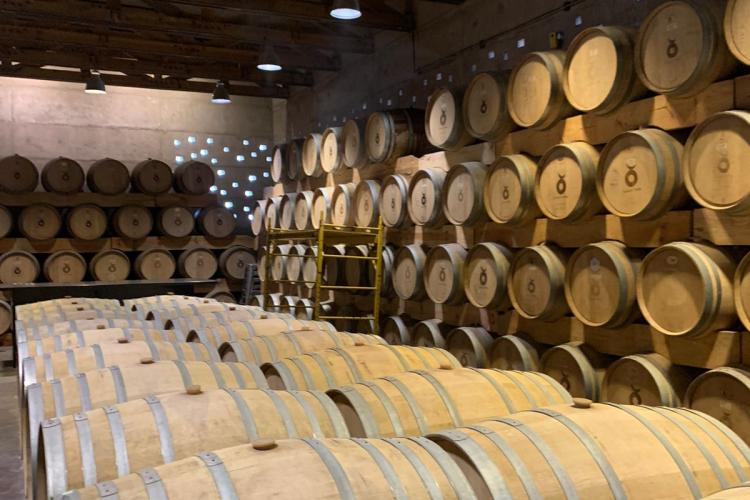 Viñedos Cuna de Tierra